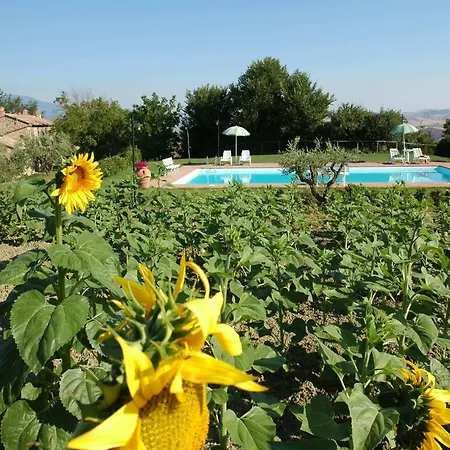 Holiday home Cosy Farmhouse In Proceno With Swimming Pool *
