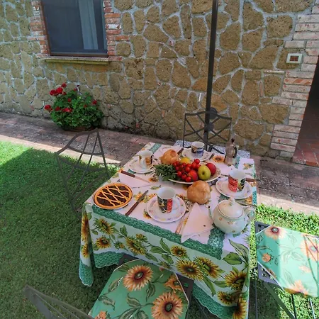 Cosy Farmhouse In Proceno With Swimming Pool Holiday home *
