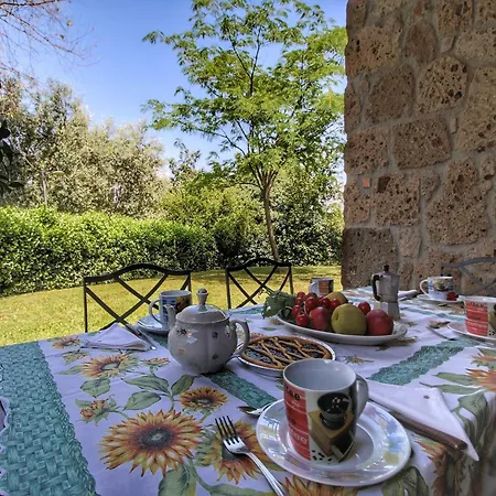 Holiday home Cosy Farmhouse In Proceno With Swimming Pool *