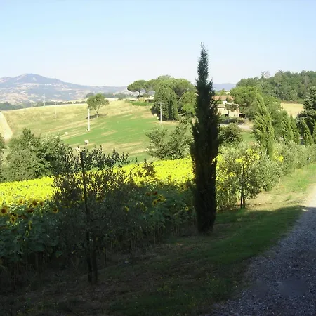 Cosy Farmhouse In Proceno With Swimming Pool * Proceno