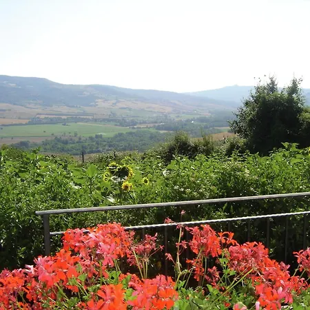Holiday home Cosy Farmhouse In Proceno With Swimming Pool *