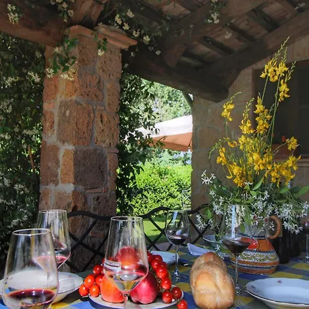 Cosy Farmhouse In Proceno With Swimming Pool *